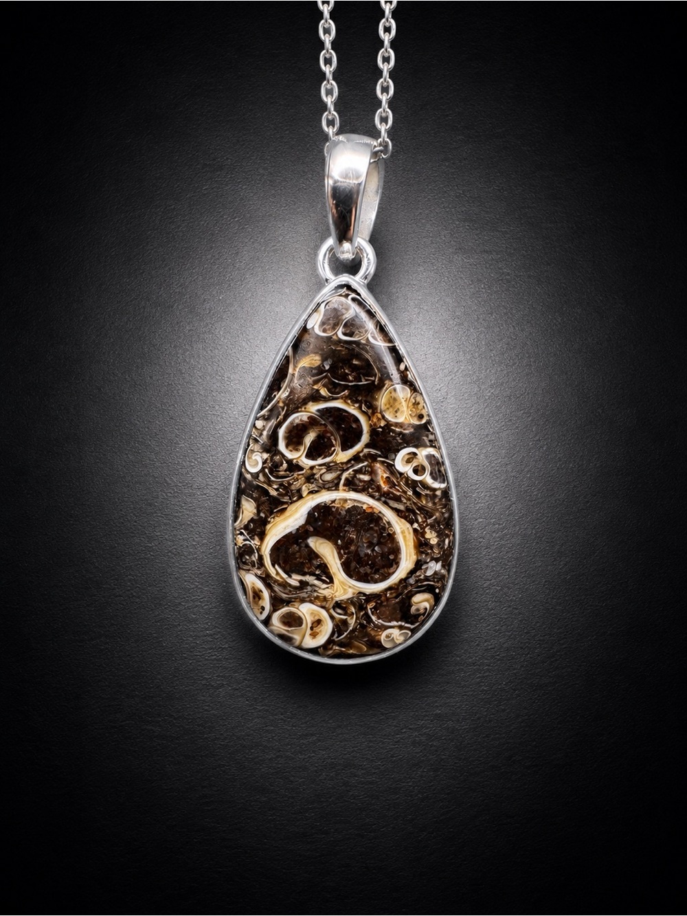 Turritella Agate 925 Silver